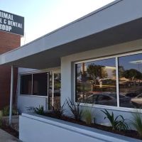 VCA Animal Medical & Dental Group ico