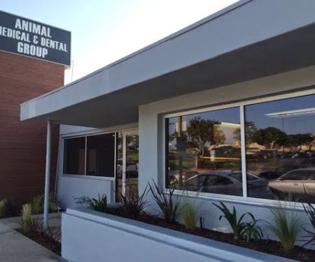 VCA Animal Medical & Dental Group