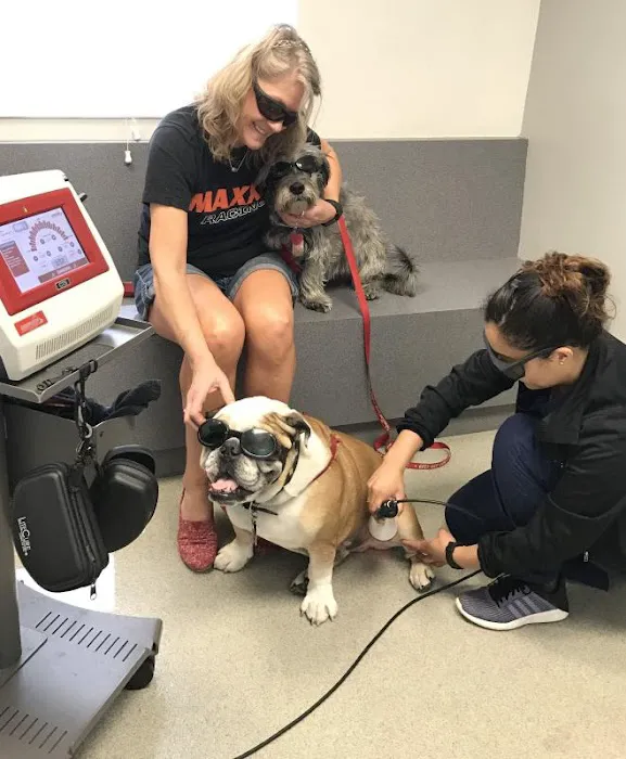 VCA Animal Medical & Dental Group Picture 10
