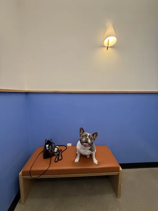 Modern Animal Picture 3
