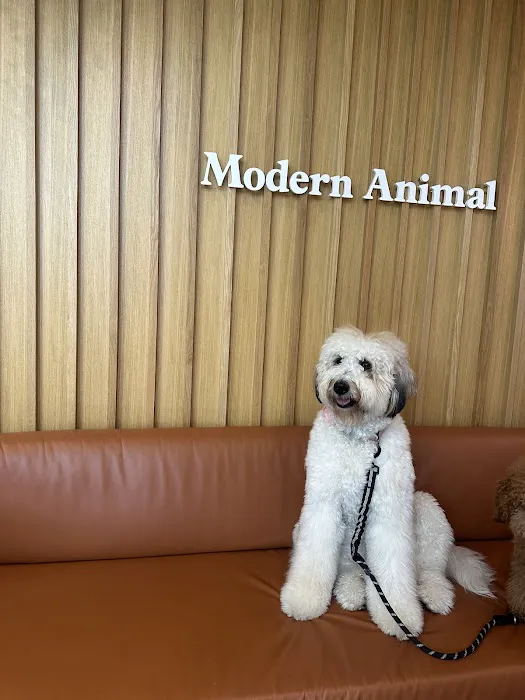 Modern Animal Picture 6