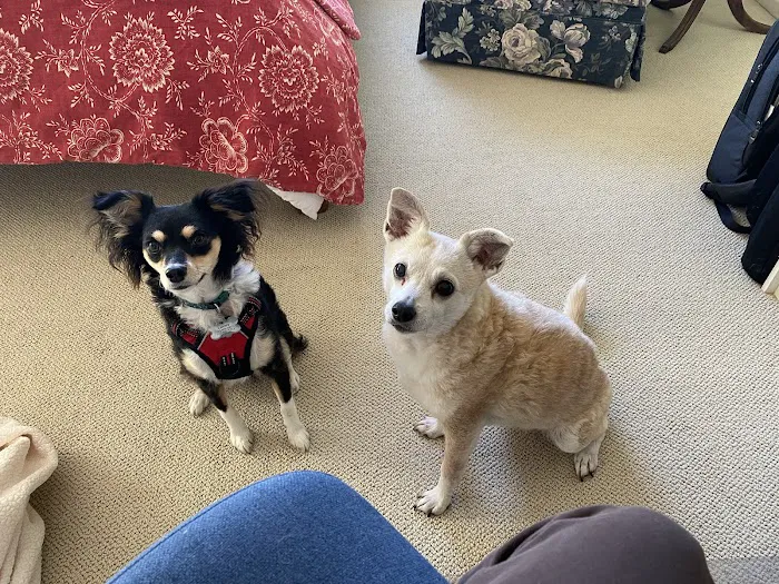 Family Pet Clinic of Redondo Beach Picture 5