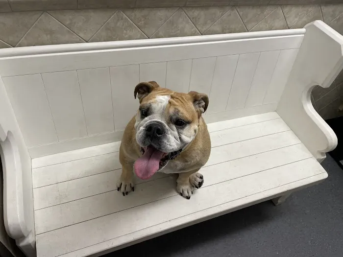 Family Pet Clinic of Redondo Beach Picture 7
