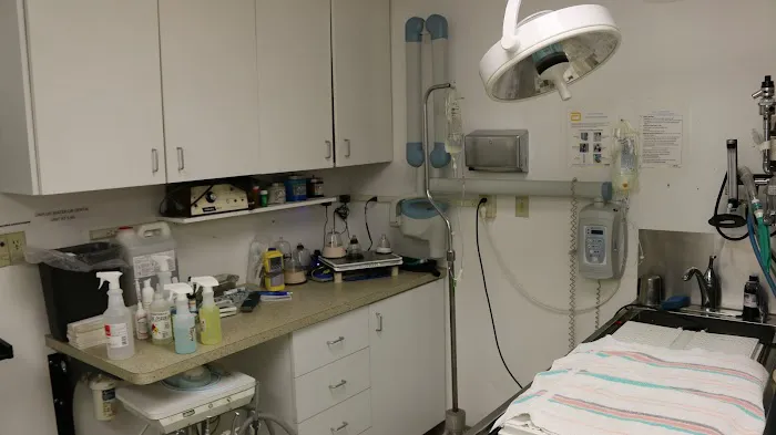 Rainbow Veterinary Hospital Picture 4