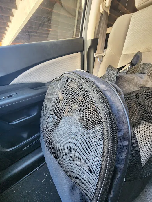 Toluca Burbank Dog & Cat Hospital Picture 1