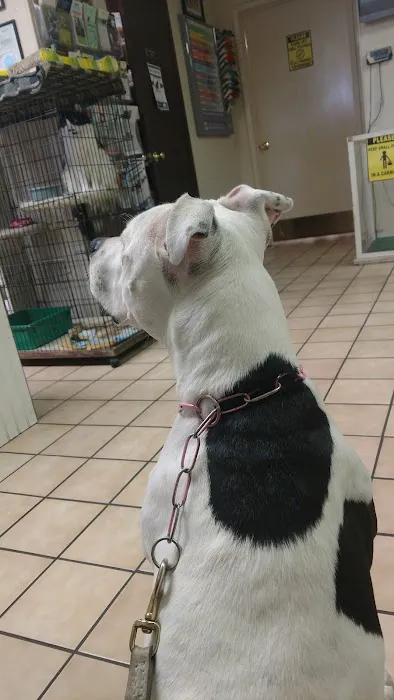 Toluca Burbank Dog & Cat Hospital Picture 7