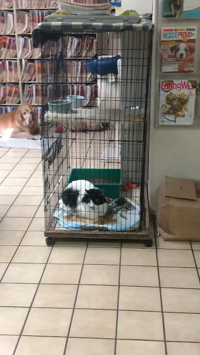 Toluca Burbank Dog & Cat Hospital Picture 6