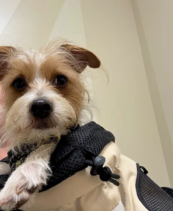 Vetco Total Care Animal Hospital Picture 7