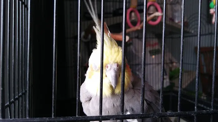 Sweet Home Veterinary Hospital Picture 3