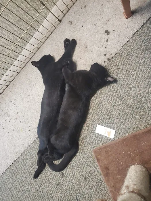 Arcadia Animal Hospital Picture 5