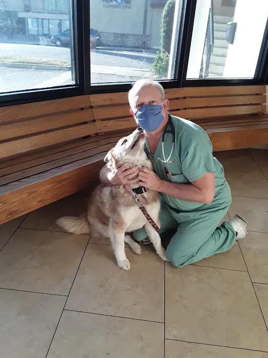 Arcadia Animal Hospital Picture 10