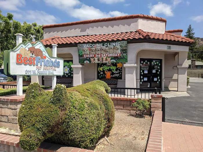 Best Friends Pet Hospital Picture 1