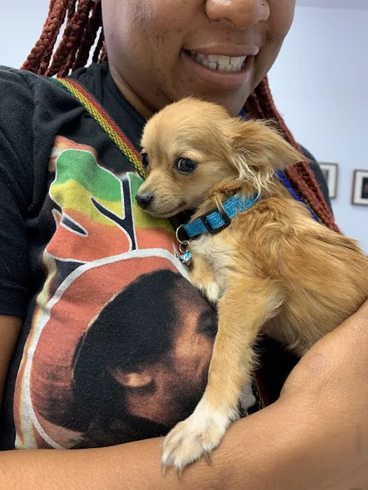 Best Friends Pet Hospital Picture 6