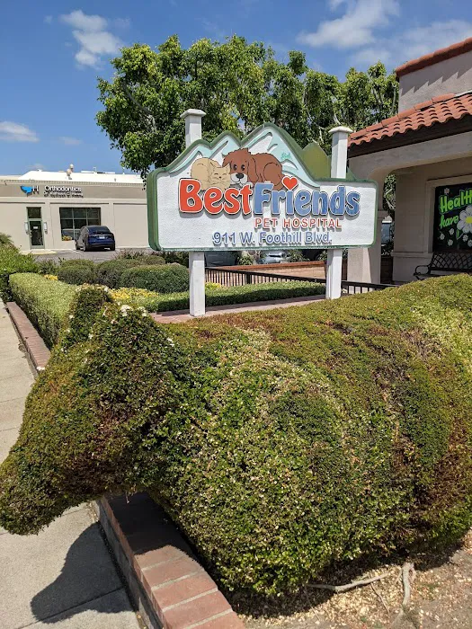 Best Friends Pet Hospital Picture 2