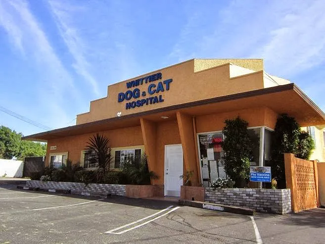 Whittier Dog and Cat Hospital Picture 1