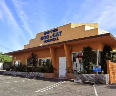 Whittier Dog and Cat Hospital