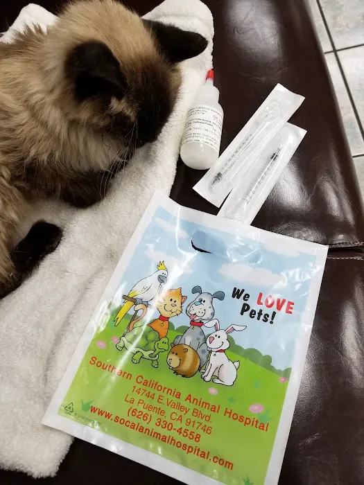 Southern California Animal Hospital Picture 7