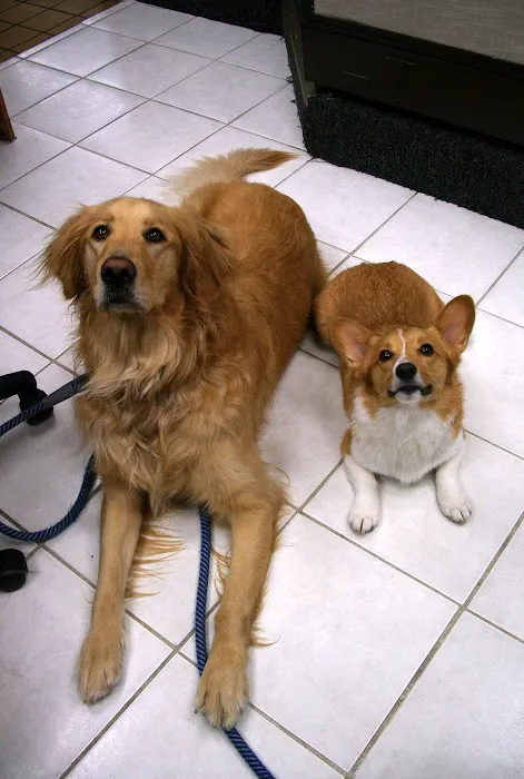 Banfield Huntington Veterinary Hospital Picture 1