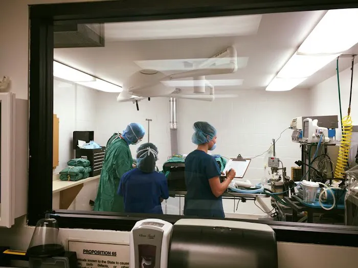 Banfield Huntington Veterinary Hospital Picture 7