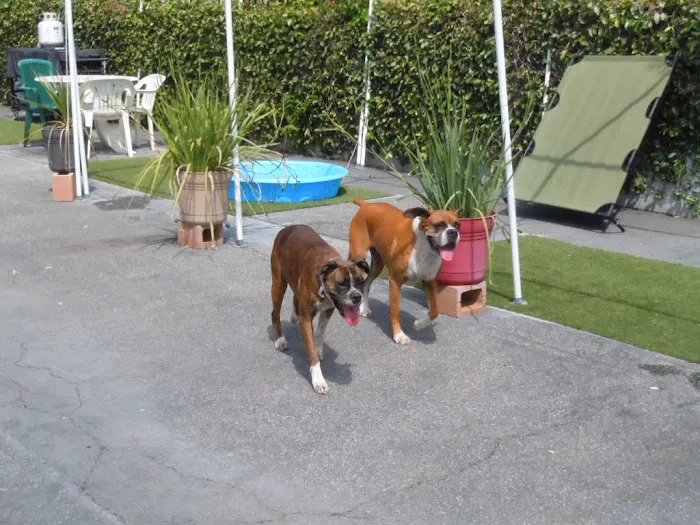 Banfield Huntington Veterinary Hospital Picture 9