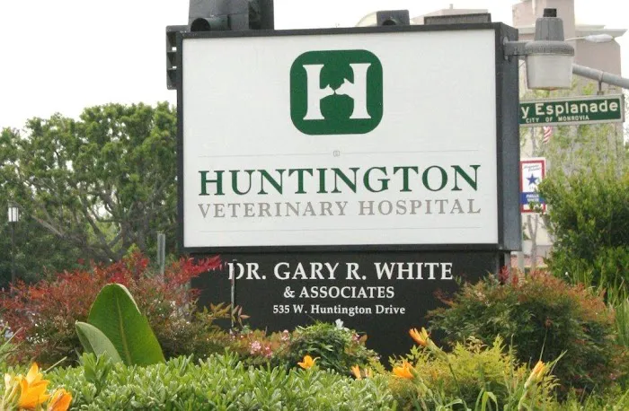 Banfield Huntington Veterinary Hospital Picture 6