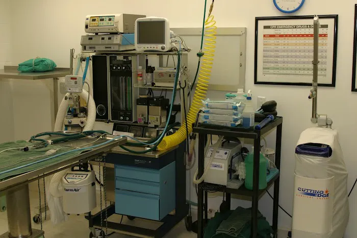 Banfield Huntington Veterinary Hospital Picture 10