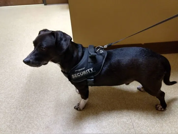 Banfield Huntington Veterinary Hospital Picture 2