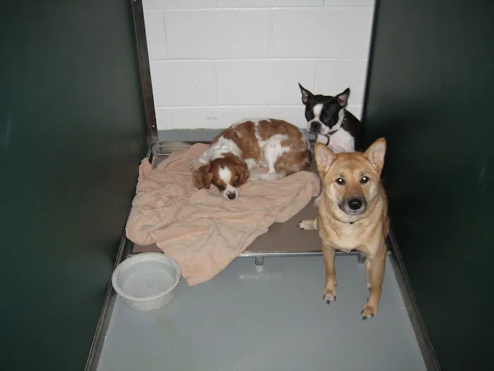 Monrovia Animal Medical Center Picture 9