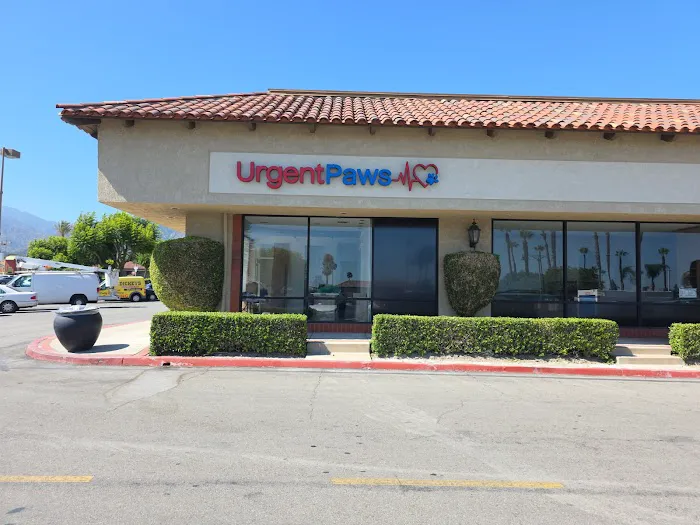 UrgentPaws Picture 3