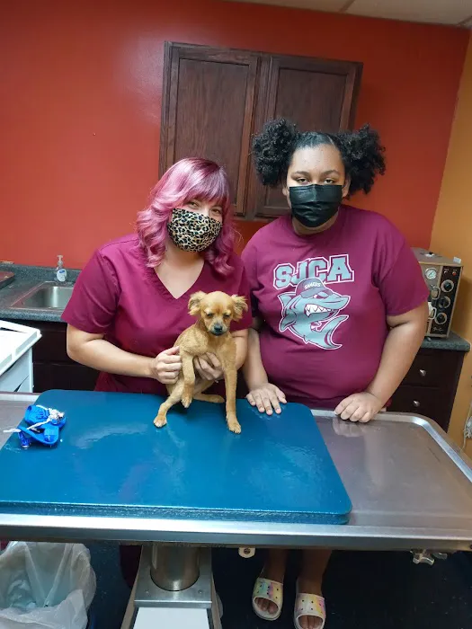 Vine Animal Clinic Picture 6