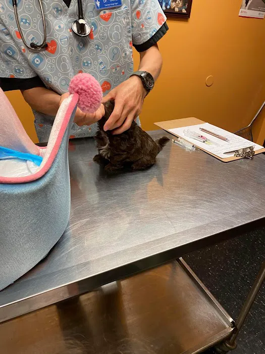 Vine Animal Clinic Picture 7