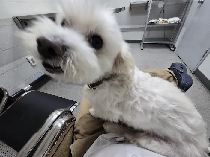 LA Quality Pet Care Animal Clinic Picture 5