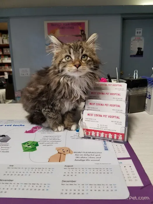 West Covina Pet Hospital Picture 8
