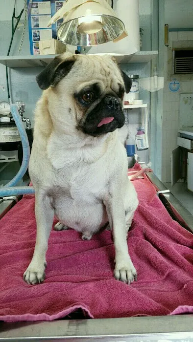 West Covina Pet Hospital Picture 4