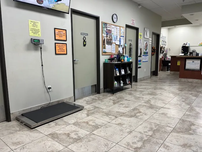 Amar Glen Veterinary Hospital Picture 5