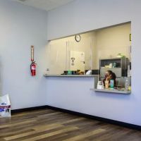 Leave No Paws Behind Veterinary Clinic ico