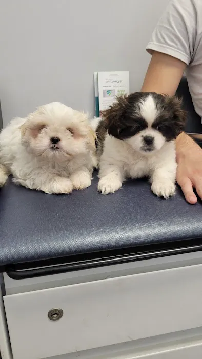 Leave No Paws Behind Veterinary Clinic Picture 9