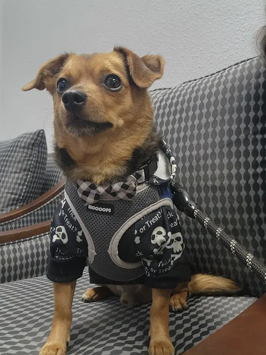 Leave No Paws Behind Veterinary Clinic Picture 3