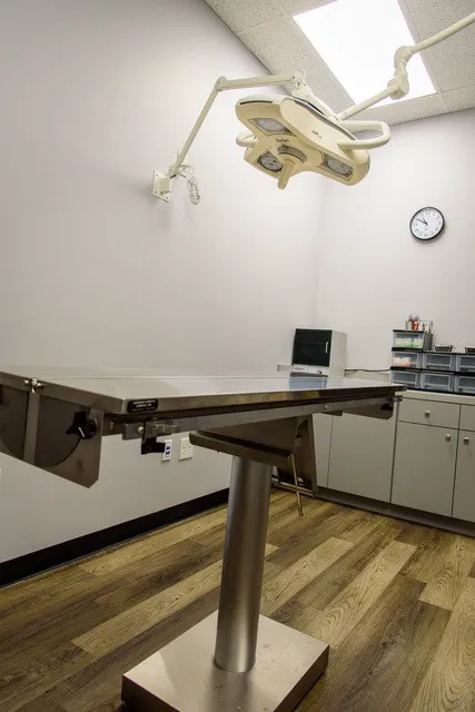 Leave No Paws Behind Veterinary Clinic Picture 8