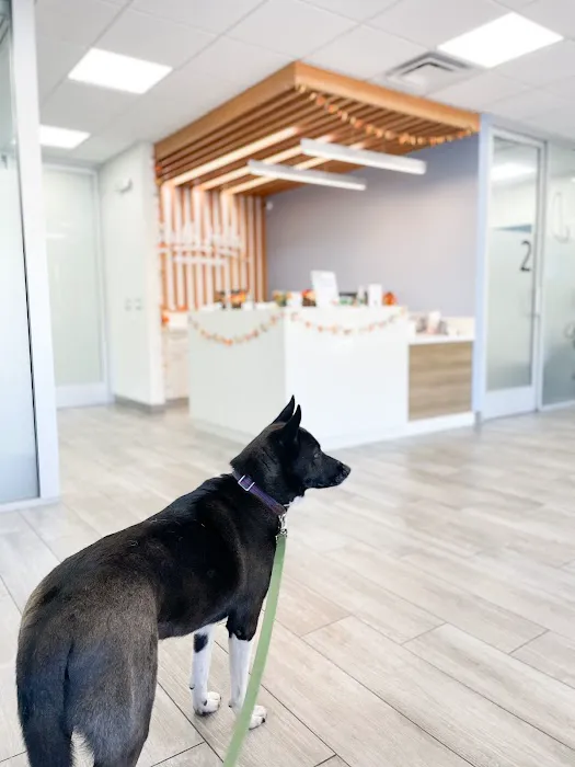 South Hills Animal Hospital Picture 3