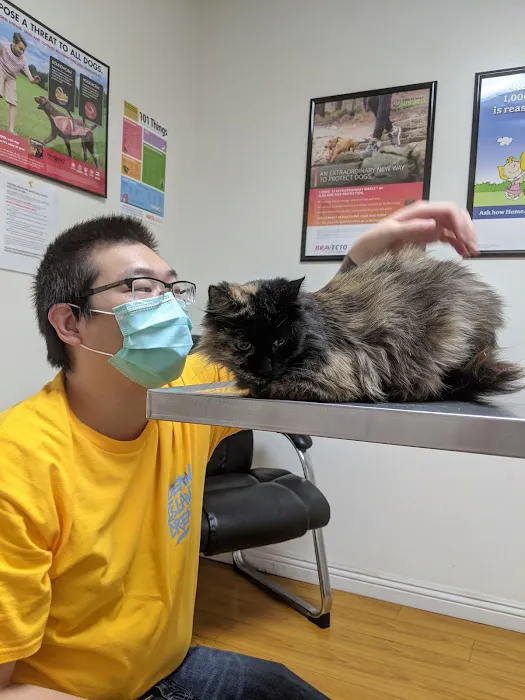 South Hills Animal Hospital Picture 5