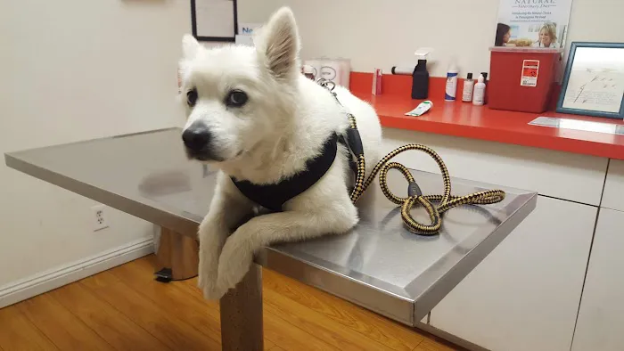 South Hills Animal Hospital Picture 7