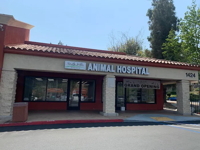 South Hills Animal Hospital Picture 10