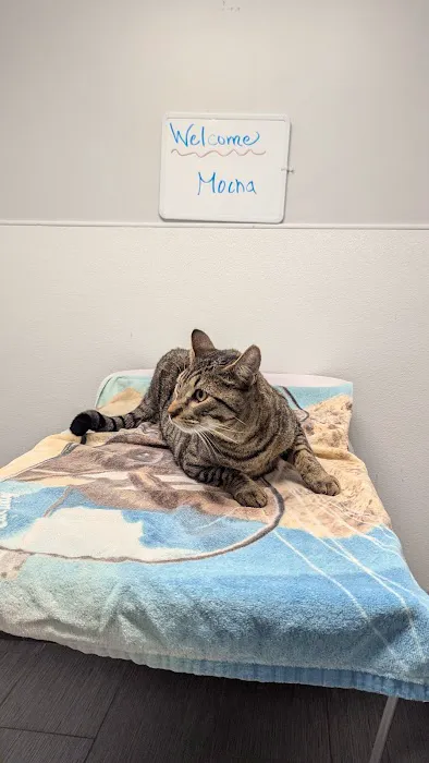 Covina Pet Care Picture 2