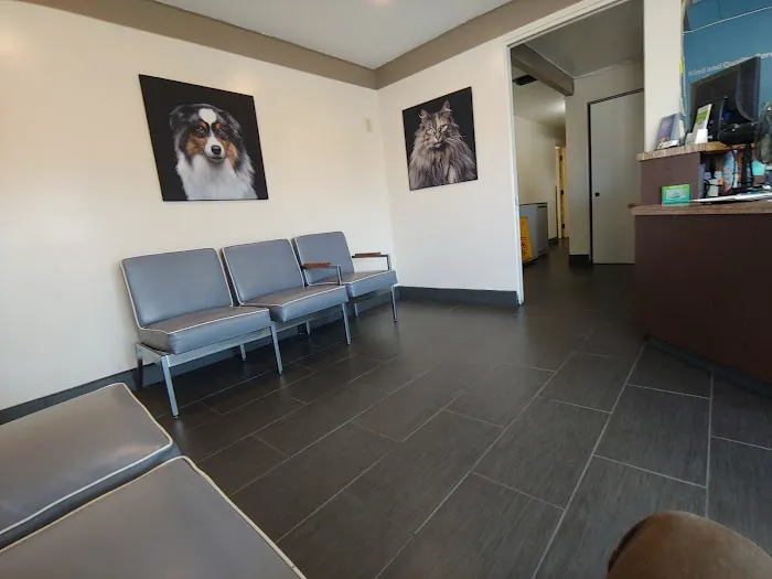 Covina Pet Care Picture 8