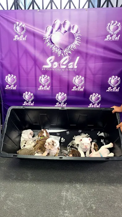 SoCal K9 Clinic City of Industry Picture 5