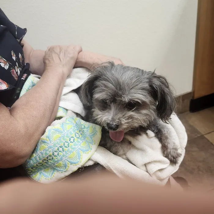 Banfield Pet Hospital Picture 1