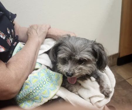 Banfield Pet Hospital