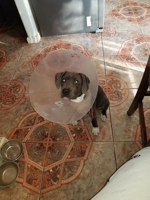 Banfield Pet Hospital Picture 9