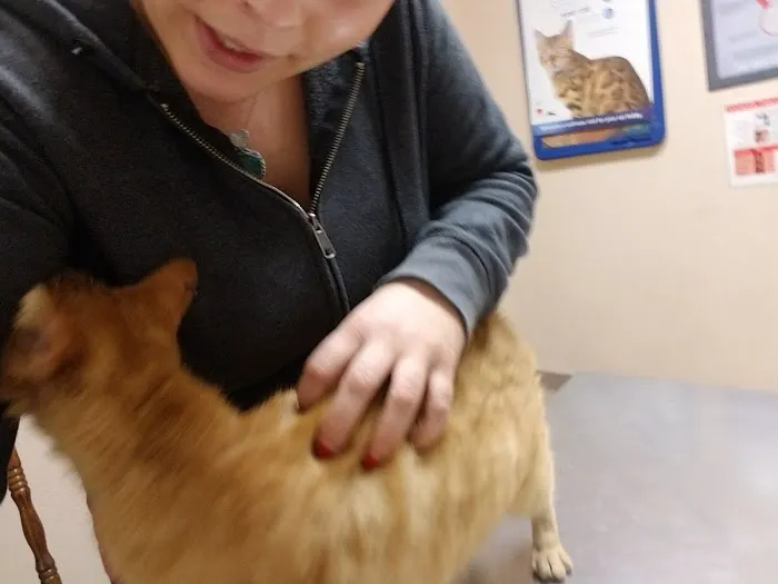 Caring Pet Hospital Picture 2